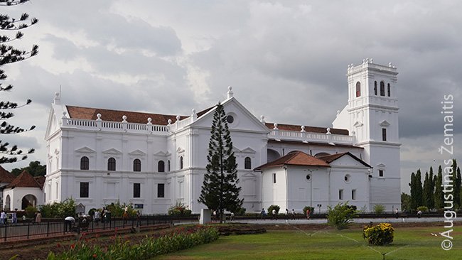 Senosios Goa katedra