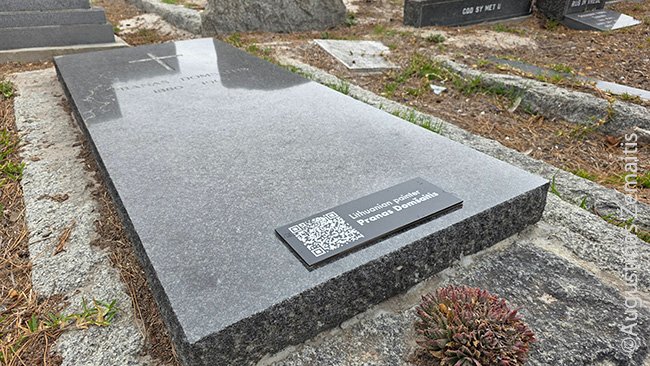 Lentelė su QR kodu ant P. Domšaičio kapo